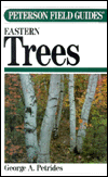 Field Guide to Eastern Trees