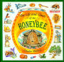 Life and Times of the Honeybee