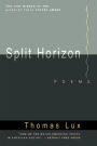 Split Horizon