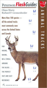 Animal Tracks