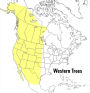 Alternative view 2 of A Peterson Field Guide To Western Trees: Western United States and Canada