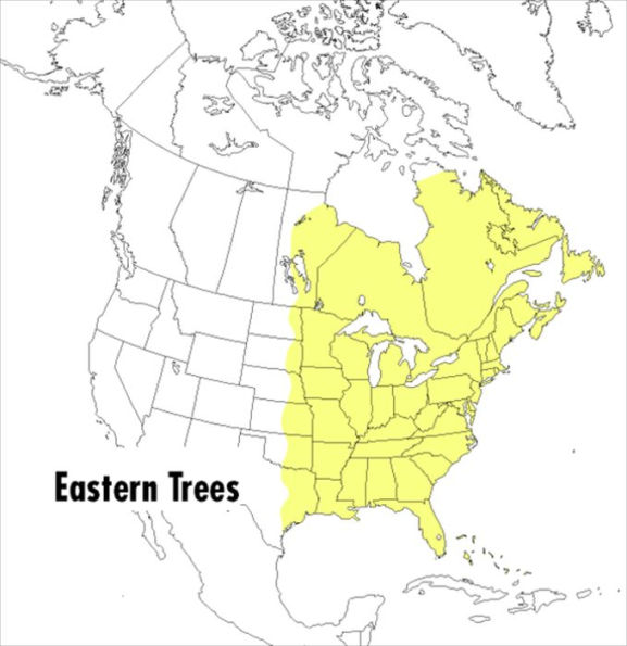 A Peterson Field Guide To Eastern Trees: Eastern United States and Canada, Including the Midwest