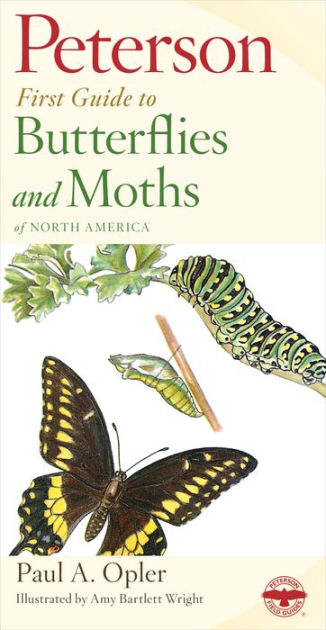 Peterson First Guide To Butterflies And Moths by Paul A. Opler, Amy  Bartlett Wright, Paperback