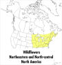 A Peterson Field Guide To Wildflowers: Northeastern and North-central North America