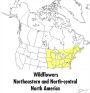 Alternative view 2 of A Peterson Field Guide To Wildflowers: Northeastern and North-central North America