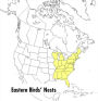 Alternative view 2 of A Peterson Field Guide To Eastern Birds' Nests: United States east of the Mississippi River