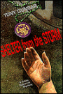 Shelter from the Storm (Tubby Dubonnet Series #5)