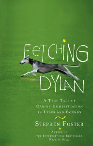 Fetching Dylan: A True Tale of Canine Domestication in Leaps and Bounds