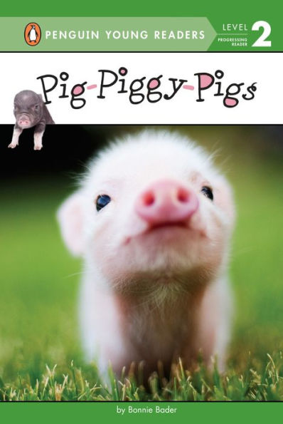 Pig-Piggy-Pigs