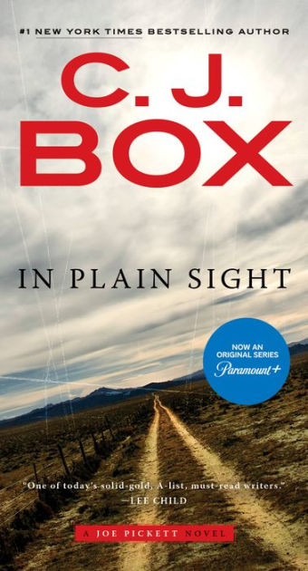 In Plain Sight [Book]