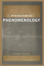 Introduction to Phenomenology