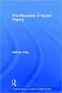 The Structure of Social Theory / Edition 1