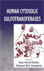 Human Cytosolic Sulfotransferases / Edition 1