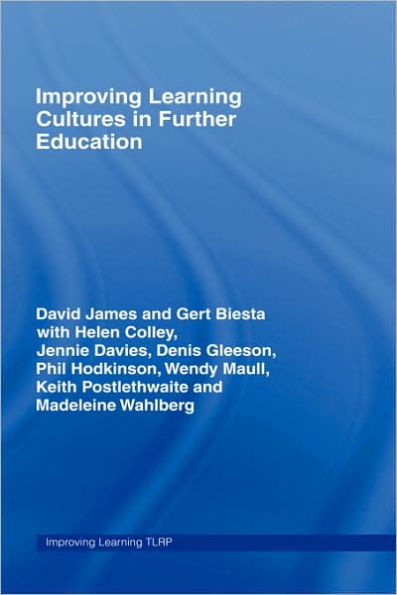 Improving Learning Cultures in Further Education / Edition 1