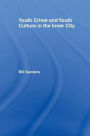 Youth Crime and Youth Culture in the Inner City / Edition 1