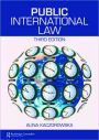 Public International Law / Edition 3