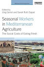 Seasonal Workers in Mediterranean Agriculture: The Social Costs of Eating Fresh