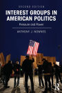 Interest Groups in American Politics: Pressure and Power / Edition 2