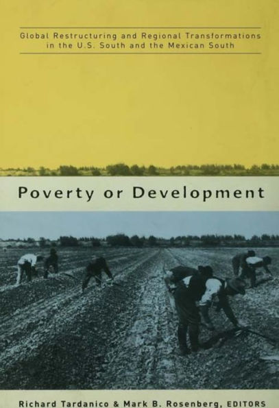Poverty or Development: Global Restructuring and Regional Transformation in the US South and the Mexican South / Edition 1