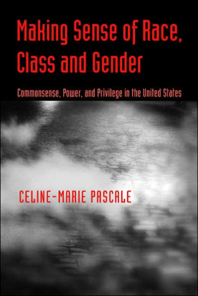 Making Sense of Race, Class, and Gender: Commonsense, Power, and Privilege in the United States