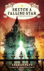 Sketch a Falling Star (Portrait of Crime Series #3)