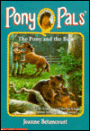 The Pony and the Bear