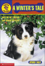 A Winter's Tale (Puppy Patrol Series #15)