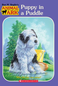 Puppy in a Puddle (Animal Ark Series #28)