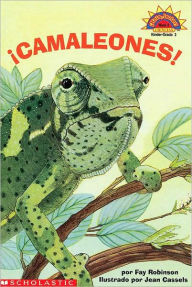 Cool Chameleons!