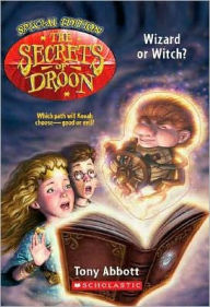 Wizard or Witch (Secrets of Droon Special Edition Series #2)