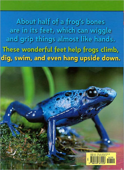 Nic Bishop: Frogs