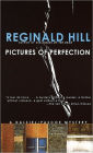 Pictures of Perfection (Dalziel and Pascoe Series #14)