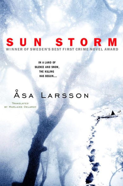 Sun Storm (Rebecka Martinsson Series #1)