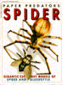 Paper Predators Spider and Fly