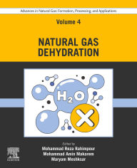 Title: Advances in Natural Gas: Formation, Processing, and Applications. Volume 4: Natural Gas Dehydration, Author: Mohammad Reza Rahimpour