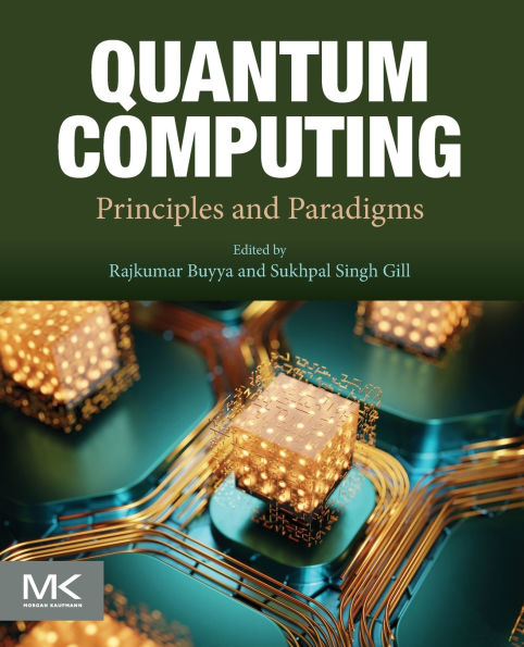 Quantum Computing: Principles and Paradigms