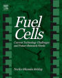 Fuel Cells: Current Technology Challenges and Future Research Needs