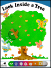 Look Inside A Tree