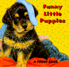 Funny, little puppies