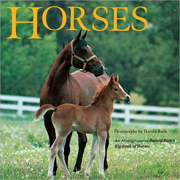 Horses by Laura Driscoll, Paperback Barnes & Noble®