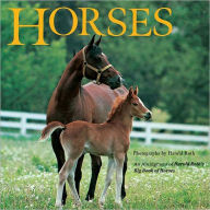 Title: Horses: An Abridgement of Harold Roth's Big Book of Horses, Author: Laura Driscoll