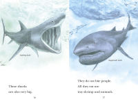 Alternative view 4 of Sharks!