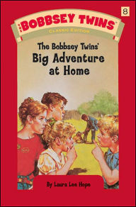 Bobbsey Twins 08: The Bobbsey Twins' Big Adventure at Home