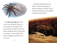 Alternative view 2 of Black Out!: Animals That Live in the Dark