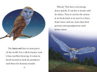 Alternative view 3 of Black Out!: Animals That Live in the Dark