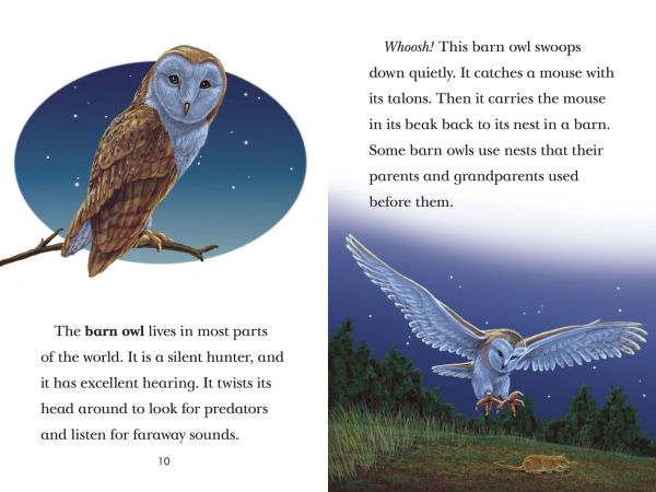 Black Out!: Animals That Live in the Dark