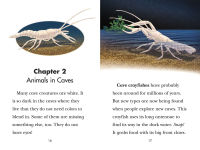 Alternative view 4 of Black Out!: Animals That Live in the Dark