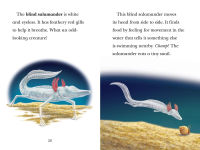 Alternative view 5 of Black Out!: Animals That Live in the Dark