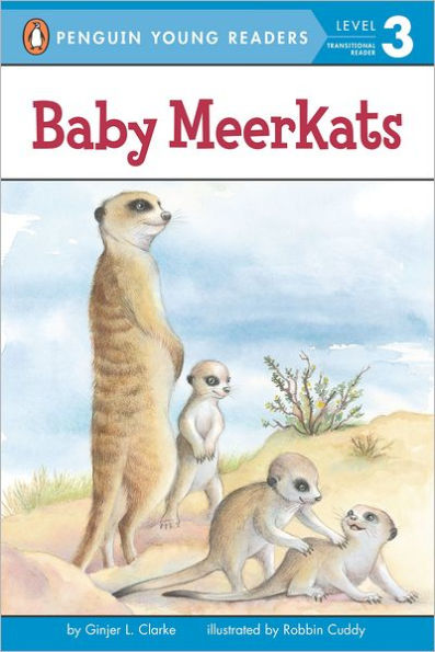 Baby Meerkats