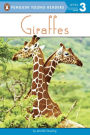 Giraffes